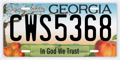 GA license plate CWS5368