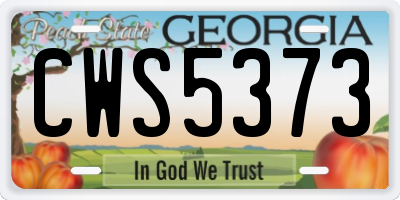 GA license plate CWS5373