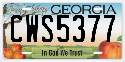 GA license plate CWS5377