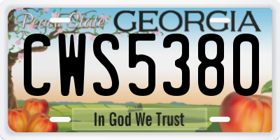 GA license plate CWS5380