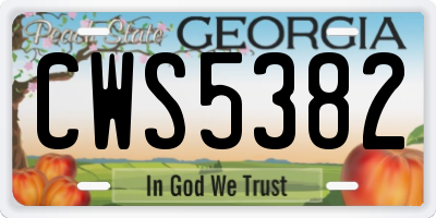GA license plate CWS5382