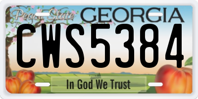 GA license plate CWS5384