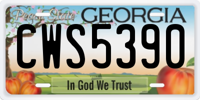 GA license plate CWS5390