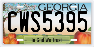 GA license plate CWS5395