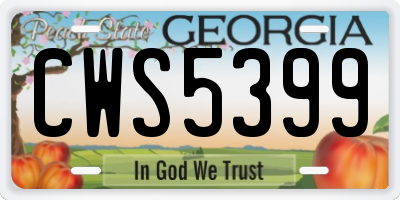 GA license plate CWS5399