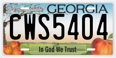 GA license plate CWS5404
