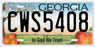 GA license plate CWS5408