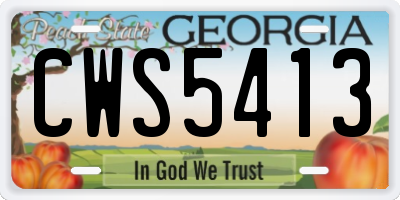 GA license plate CWS5413