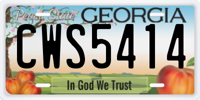 GA license plate CWS5414