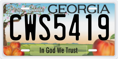 GA license plate CWS5419