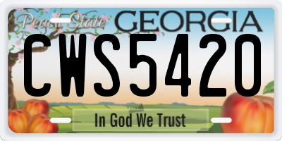 GA license plate CWS5420