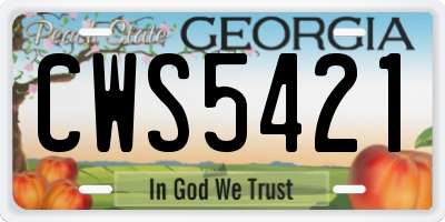 GA license plate CWS5421