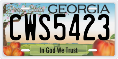 GA license plate CWS5423