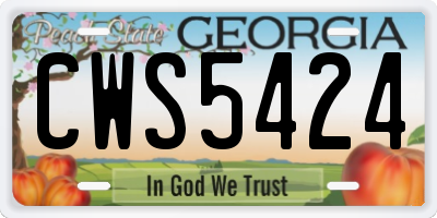 GA license plate CWS5424