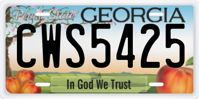 GA license plate CWS5425