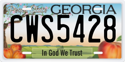 GA license plate CWS5428