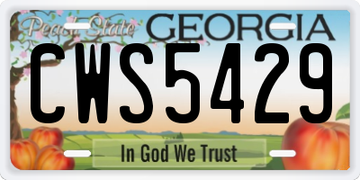 GA license plate CWS5429