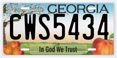 GA license plate CWS5434