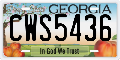 GA license plate CWS5436