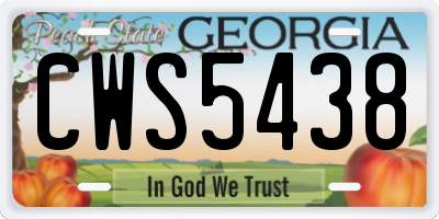 GA license plate CWS5438