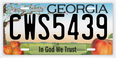 GA license plate CWS5439