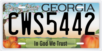 GA license plate CWS5442