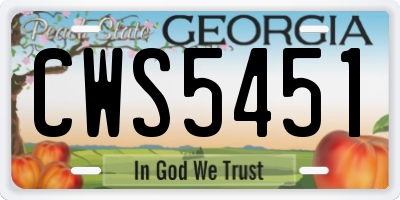 GA license plate CWS5451