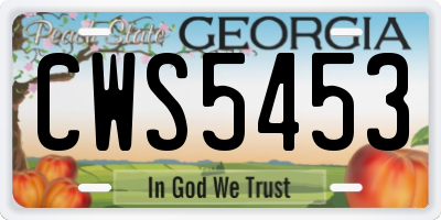 GA license plate CWS5453