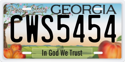 GA license plate CWS5454