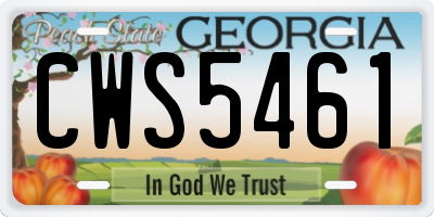 GA license plate CWS5461
