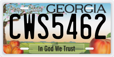 GA license plate CWS5462