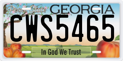 GA license plate CWS5465
