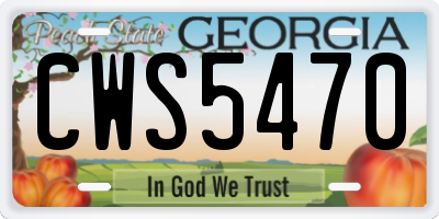 GA license plate CWS5470