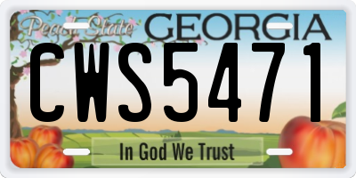 GA license plate CWS5471