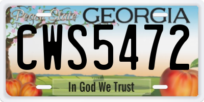 GA license plate CWS5472