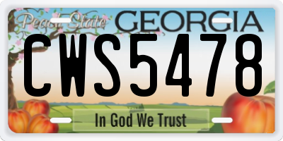 GA license plate CWS5478