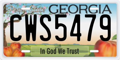 GA license plate CWS5479