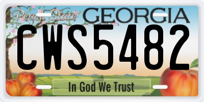 GA license plate CWS5482