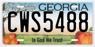 GA license plate CWS5488