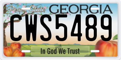 GA license plate CWS5489