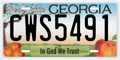 GA license plate CWS5491