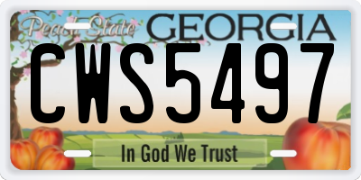 GA license plate CWS5497