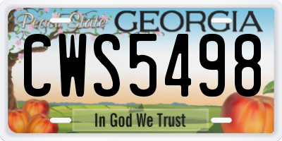 GA license plate CWS5498