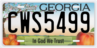 GA license plate CWS5499