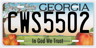 GA license plate CWS5502