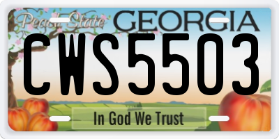 GA license plate CWS5503
