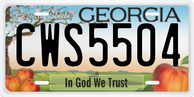 GA license plate CWS5504