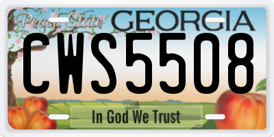 GA license plate CWS5508
