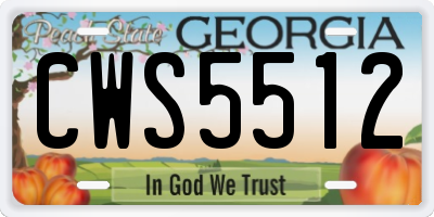 GA license plate CWS5512