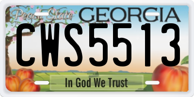 GA license plate CWS5513
